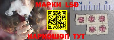 ECSTASY Новозыбков
