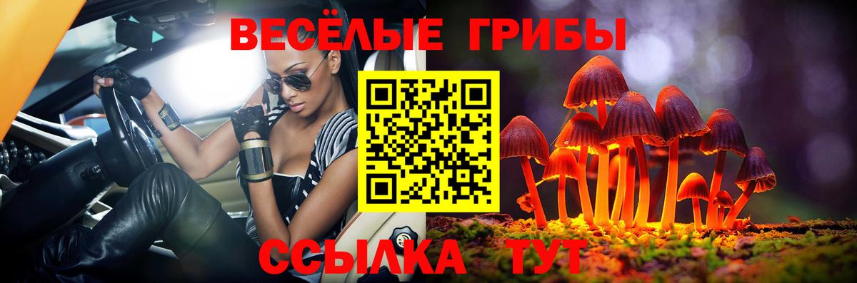 Псилоцибиновые грибы Psilocybe  Вход с VPN  Амурск  Галлюциногенные грибы Magic Shrooms 